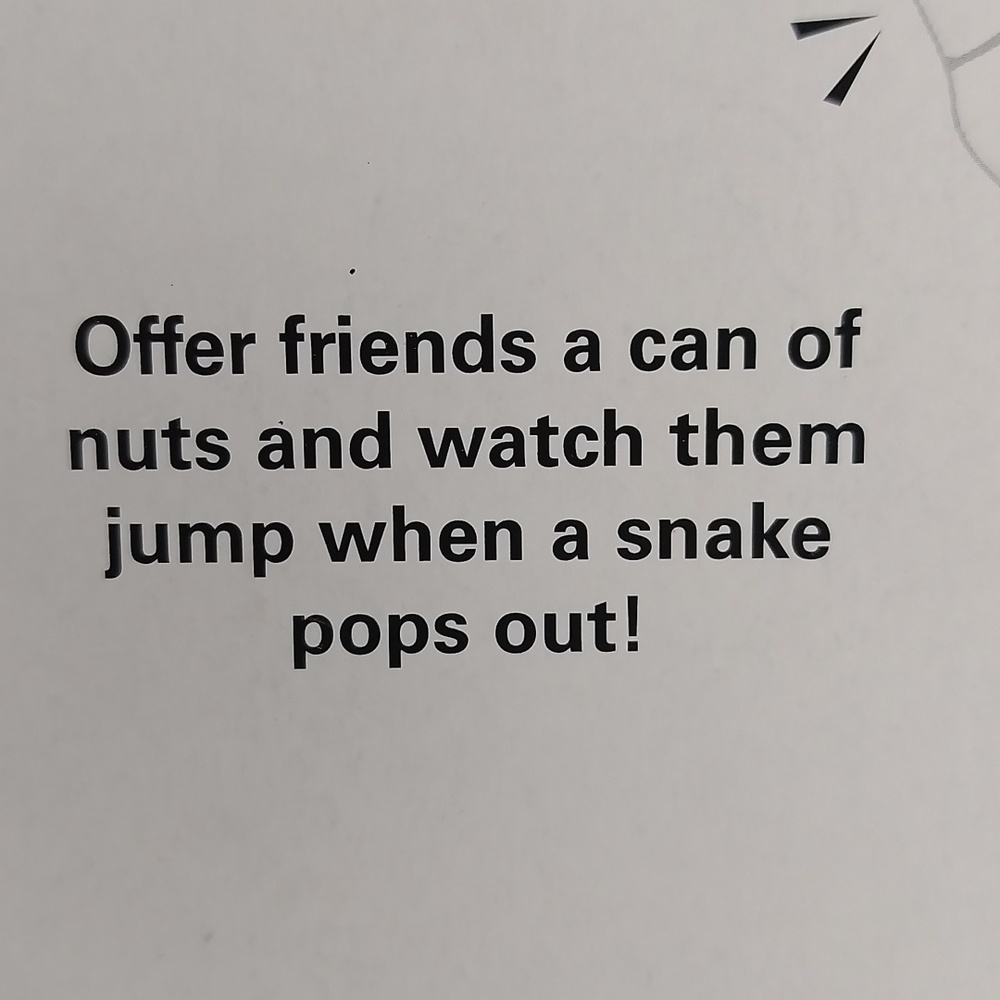 Snake Nut Can Practical Joke Novelty Toy Fun SEALED - Picture 9 of 9
